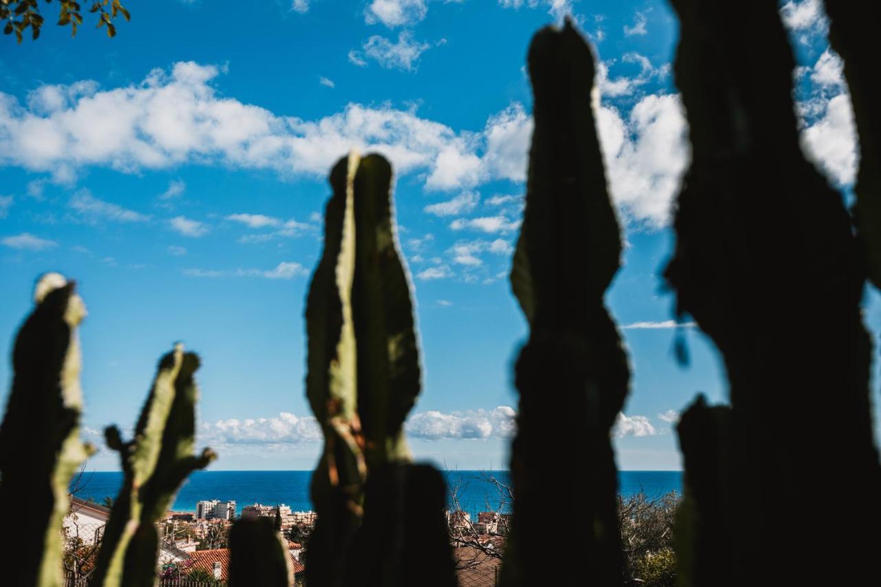 Agriturismo Rose Di Pietra 皮特拉利古 外观 照片