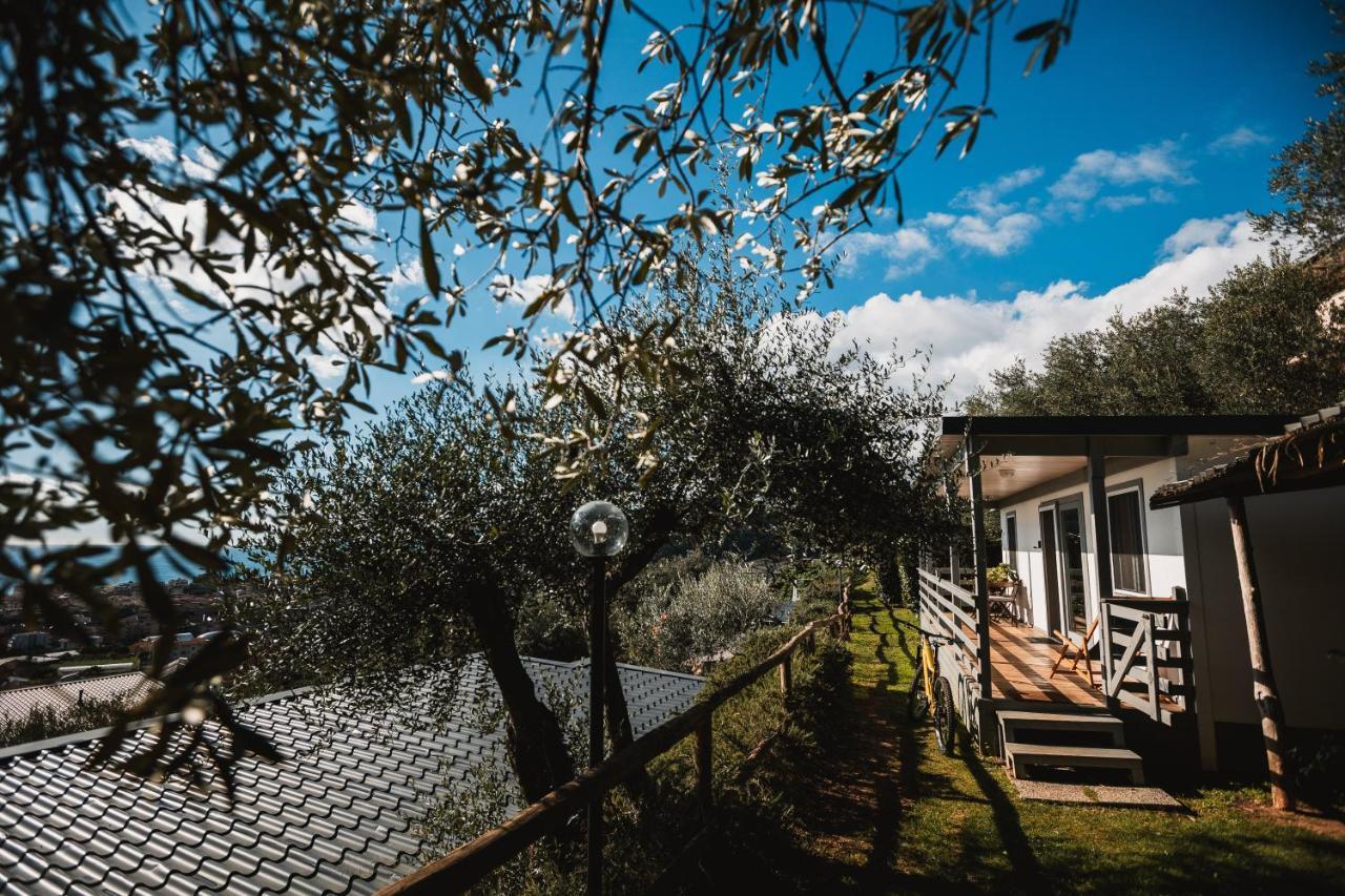 Agriturismo Rose Di Pietra 皮特拉利古 外观 照片