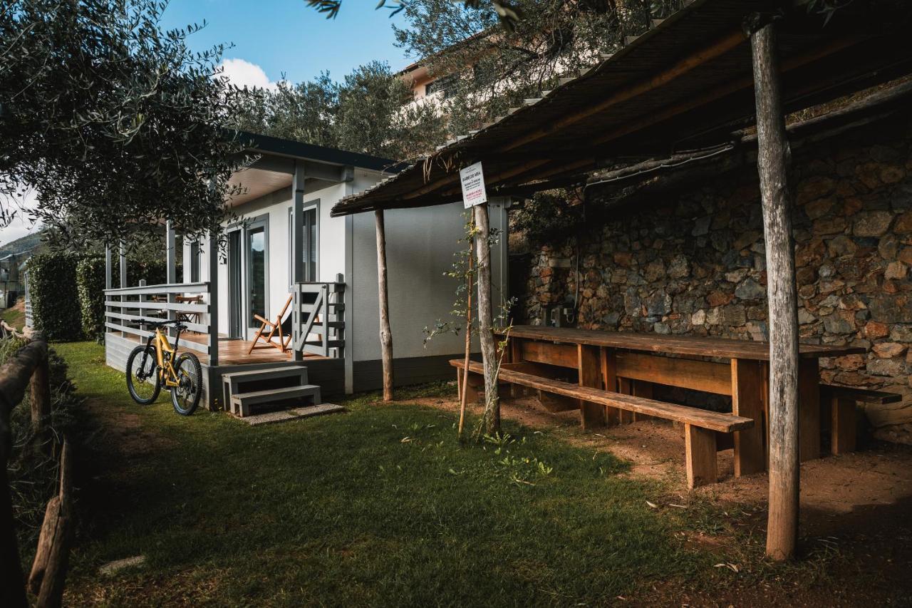Agriturismo Rose Di Pietra 皮特拉利古 外观 照片