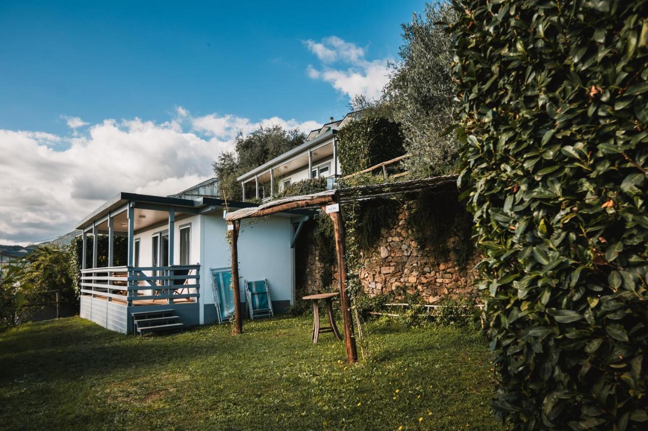 Agriturismo Rose Di Pietra 皮特拉利古 外观 照片