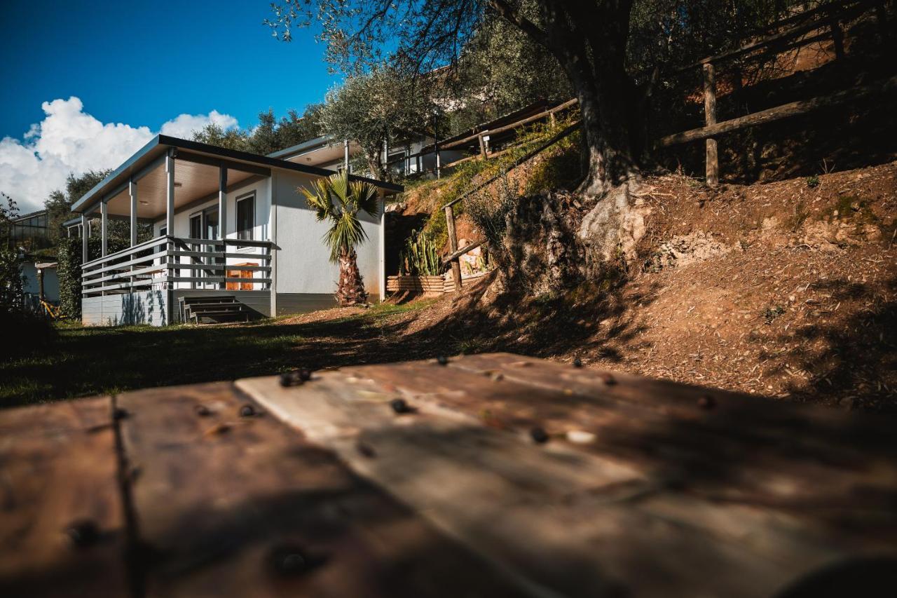 Agriturismo Rose Di Pietra 皮特拉利古 外观 照片