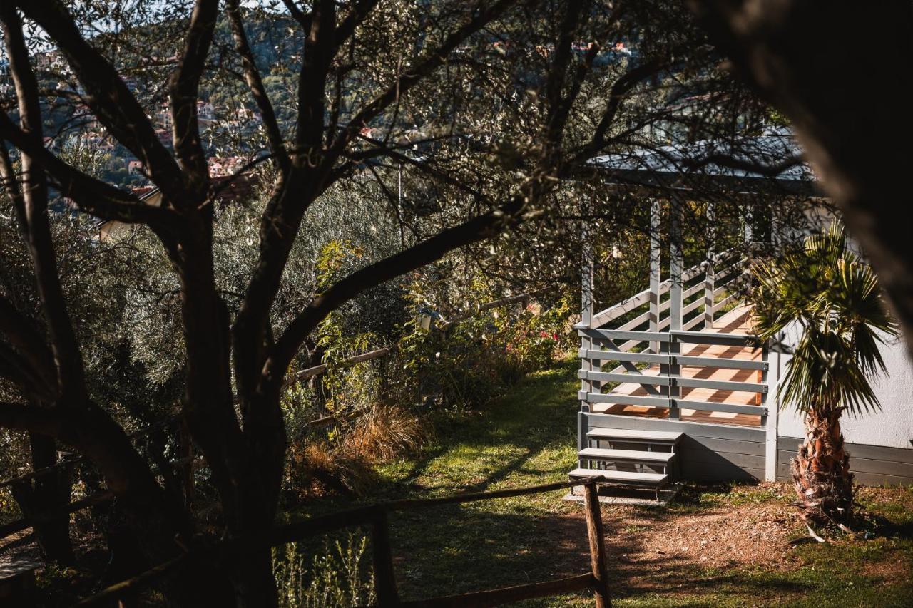 Agriturismo Rose Di Pietra 皮特拉利古 外观 照片