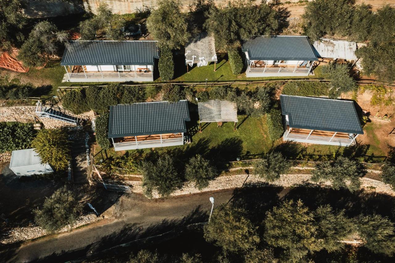 Agriturismo Rose Di Pietra 皮特拉利古 外观 照片