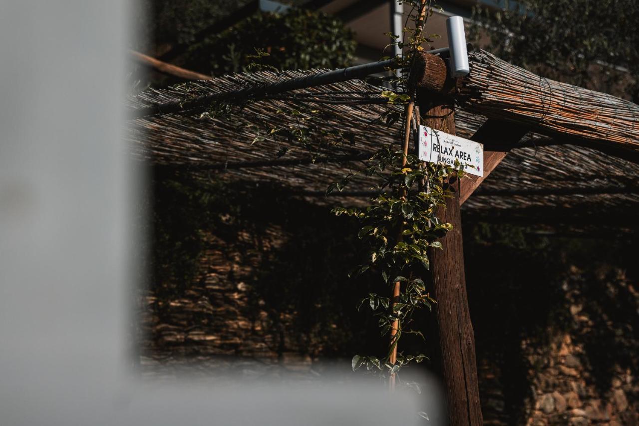 Agriturismo Rose Di Pietra 皮特拉利古 外观 照片