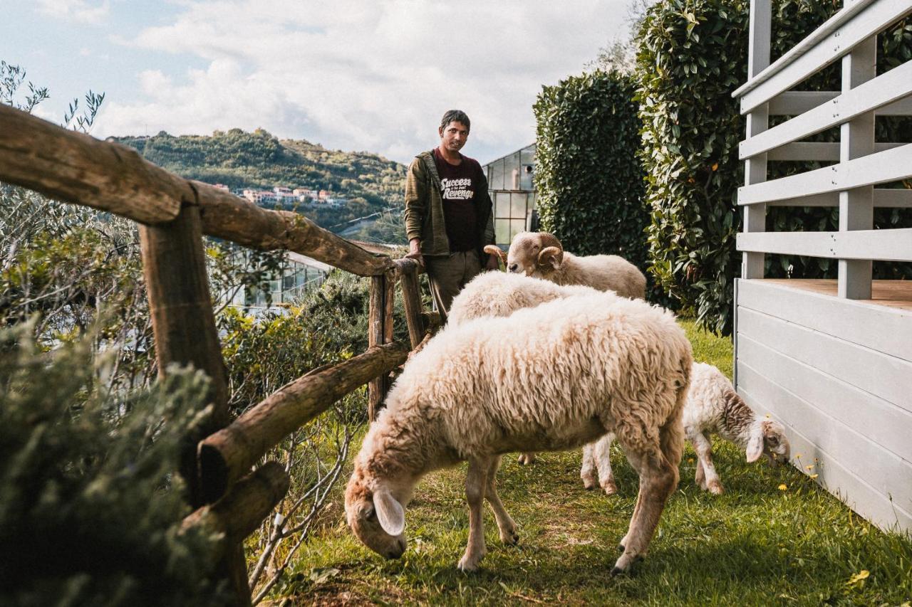 Agriturismo Rose Di Pietra 皮特拉利古 外观 照片