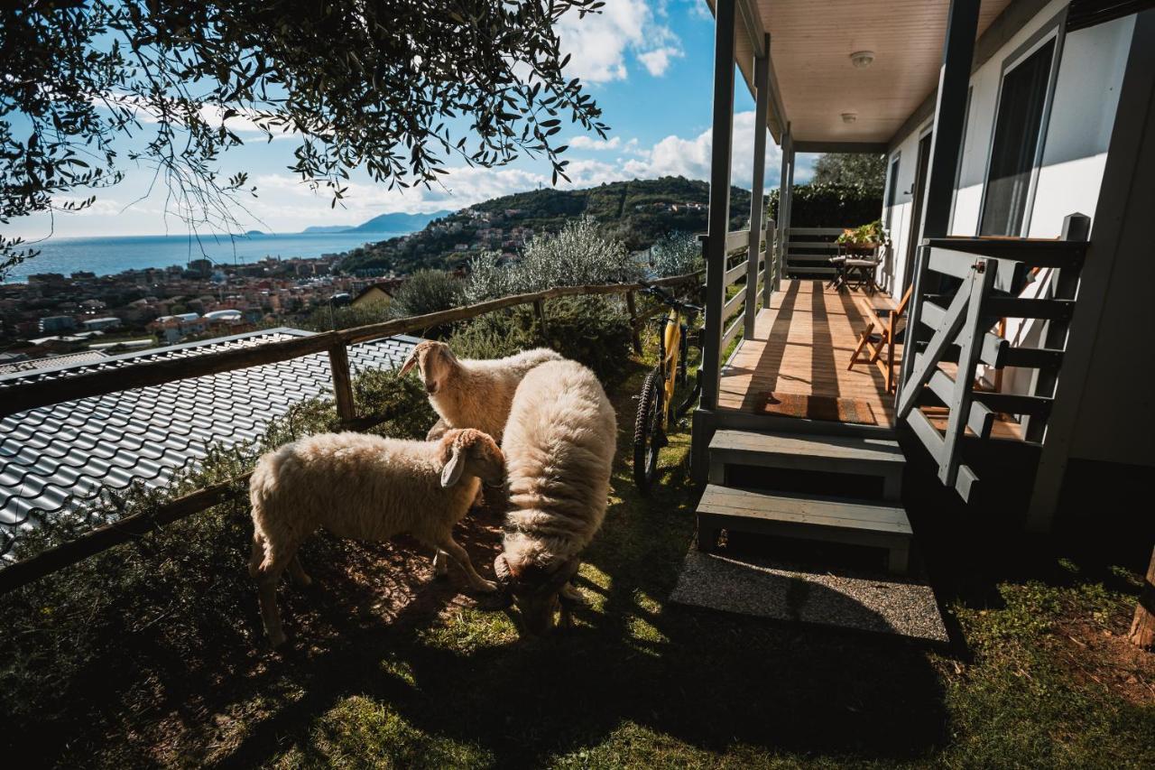 Agriturismo Rose Di Pietra 皮特拉利古 外观 照片