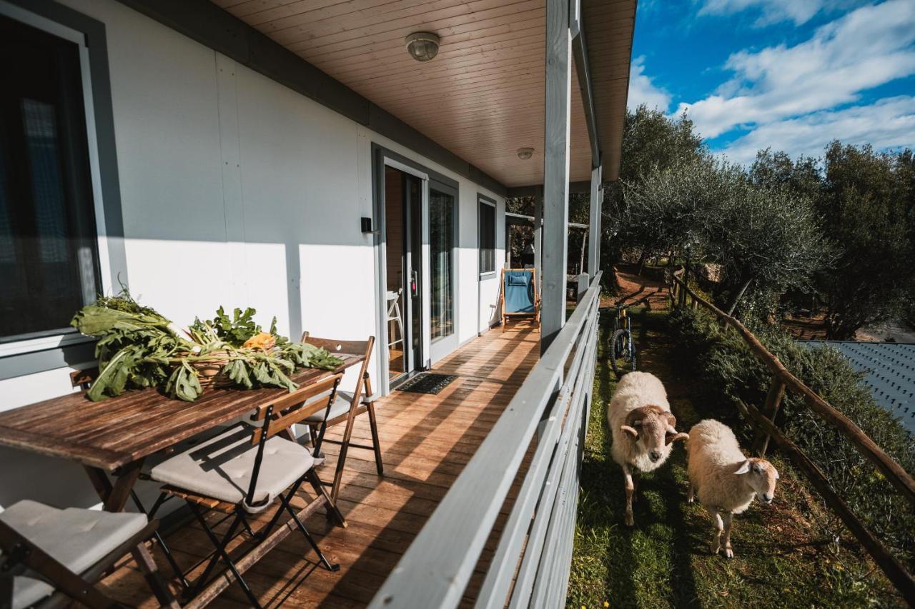 Agriturismo Rose Di Pietra 皮特拉利古 外观 照片
