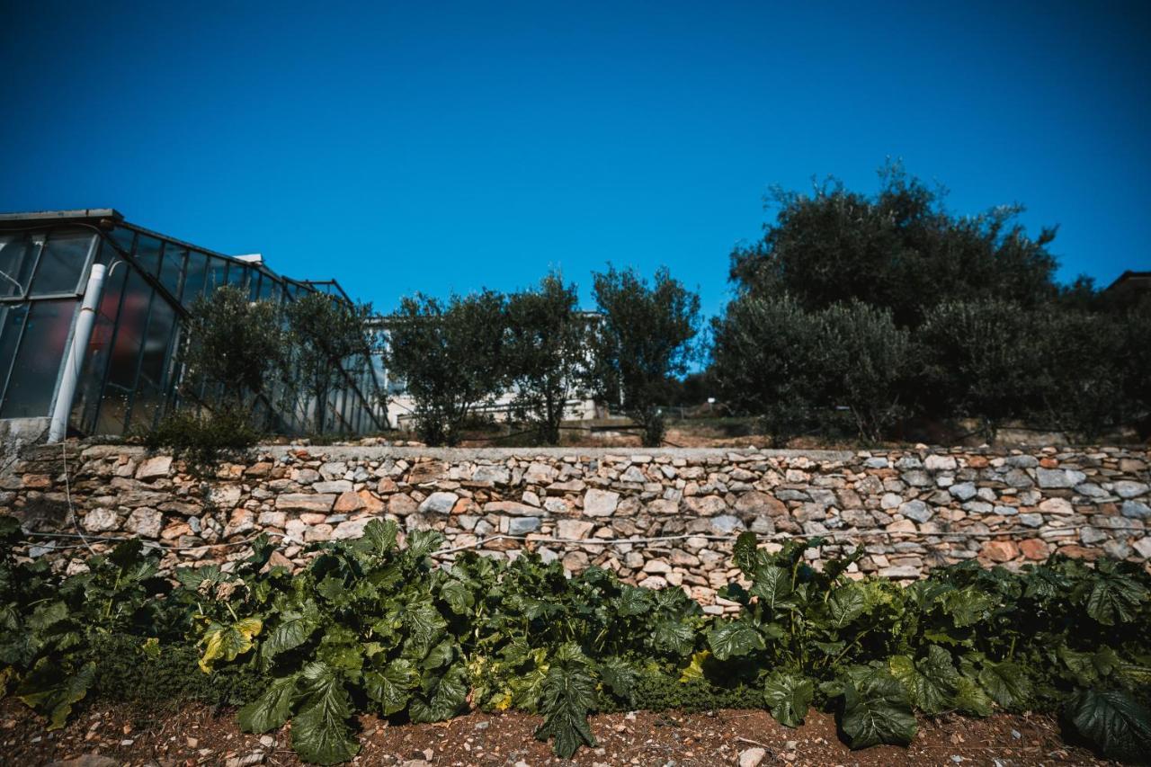 Agriturismo Rose Di Pietra 皮特拉利古 外观 照片