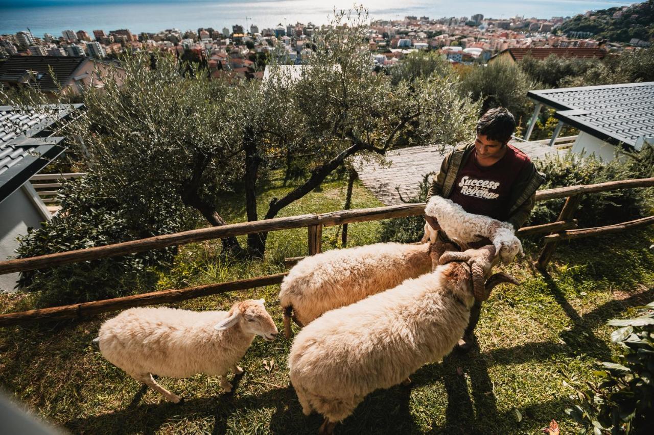 Agriturismo Rose Di Pietra 皮特拉利古 外观 照片