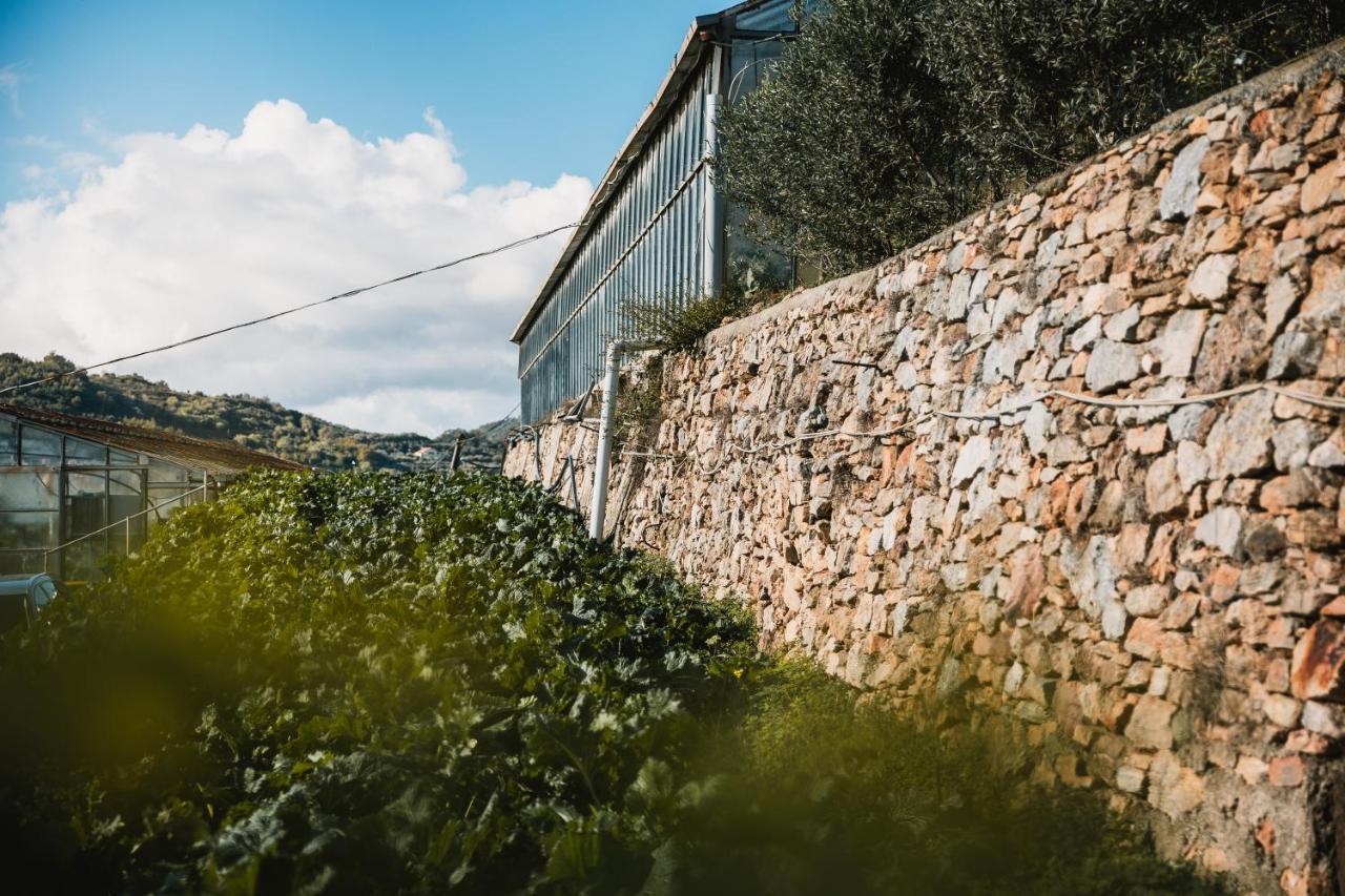 Agriturismo Rose Di Pietra 皮特拉利古 外观 照片
