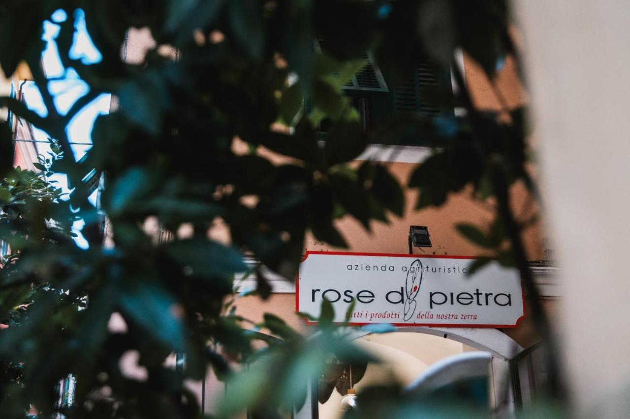 Agriturismo Rose Di Pietra 皮特拉利古 外观 照片